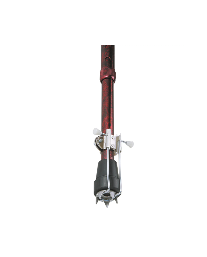 Embout de canne pointé