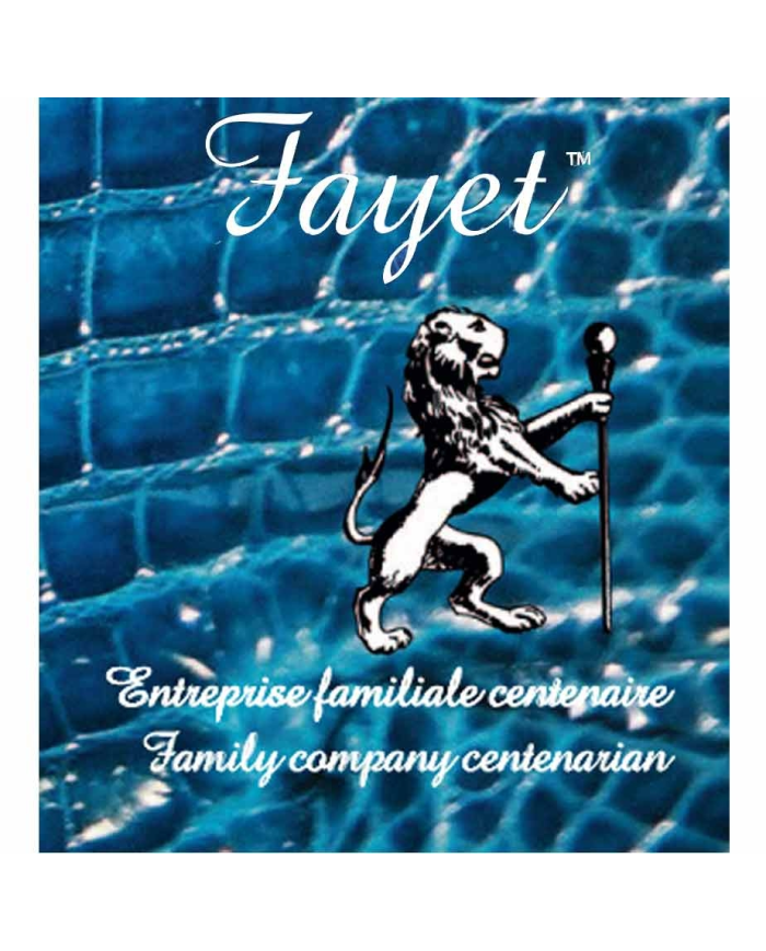 lot de deux embouts ventouse grise pour cannes FAYET