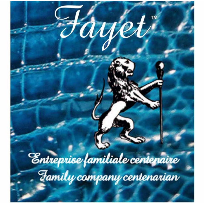 lot de deux embouts ventouse grise pour cannes FAYET