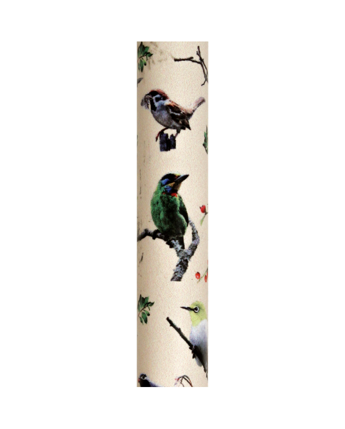 Canne réglable alu beige oiseaux et poignée bois
