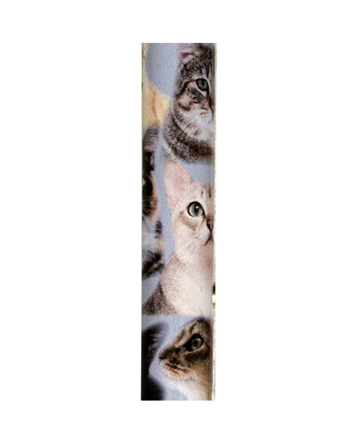 Canne réglable alu gris chats et poignée bois noir