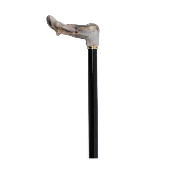 Canne de Marche Orthopédique